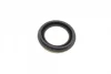 Ремкомплект супорта (переднього) Hyundai Sonata 98-05 (d=57mm)(+ поршен/направляюча) SuperKit FRENKIT 757510 (фото 6)
