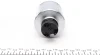 Поршень супорта (заднього) Iveco Daily IV 06-11 (60x65mm) (Brembo) (R) (з механізмом) FRENKIT K606501R (фото 2)