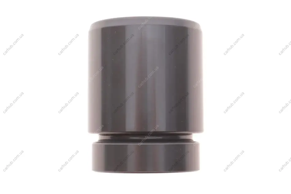 Поршень супорта (заднього) BMW 5 (E39/E61) 97- (42x52.25mm) (Ate) FRENKIT P425202 (фото 1)
