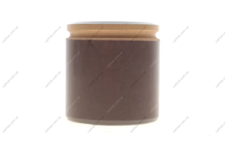 Поршень супорта (заднього) Jeep Cherokee 08-/Wrangler III 07-/Dodge Nitro 06-12 (48x49.5mm) (TRW) FRENKIT P484904 (фото 1)