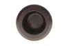 Поршень супорта (заднього) Jeep Cherokee 08-/Wrangler III 07-/Dodge Nitro 06-12 (48x49.5mm) (TRW) FRENKIT P484904 (фото 4)