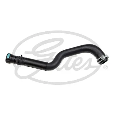 Шланг гумовий системи охолодження Нижн (24мм/23мм) FORD B-MAX, FIESTA, FIESTA VI, FUSION 1.25-1.6 08.02-01.18 Gates 022759 (фото 1)