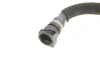 Патрубок радіатора BMW 1 (F20/F21)/3 (F30/F80)/4 (F32/F82) 1.6/2.0 11- N13/N20/N26 GATES Gates 02-2779 (фото 6)