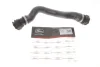 Патрубок радіатора (нижній) BMW 3 (E46) 2.0d 01-07 M47 GATES Gates 05-2981 (фото 1)