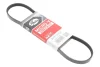 Ремінь генератора Ford Focus IV/Galaxy III/Mondeo V/Transit 2.0D/2.0DH 15- GATES Gates 3PK714SF (фото 2)