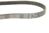 Ремінь генератора Ford Focus III 2.0 11- GATES Gates 4PK705SF (фото 4)