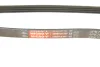 Ремінь генератора Ford Focus III 2.0 11- GATES Gates 4PK705SF (фото 5)