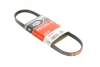 Ремінь генератора Fiat Bravo/Hyundai Getz 1.1-1.4 92-09 GATES Gates 4PK750 (фото 1)