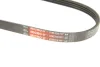 Ремінь генератора BMW 1 (E87)/3 (E90/E91) 2.0D 04-11 GATES Gates 4PK810SF (фото 5)