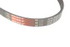 Ремінь генератора Nissan Almera/Primera/Sunny 1.0-5.0 82- GATES Gates 4PK813 (фото 3)