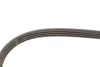 Ремінь генератора Nissan Almera/Primera/Sunny 1.0-5.0 82- GATES Gates 4PK813 (фото 4)