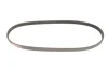 Ремінь генератора Nissan Almera/Primera/Sunny 1.0-5.0 82- GATES Gates 4PK813 (фото 5)