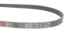 Ремінь генератора Honda Civic VI/Nissan Primera 1.3-6.0 87- GATES Gates 4PK845 (фото 2)