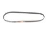Ремінь генератора Honda Civic VI/Nissan Primera 1.3-6.0 87- GATES Gates 4PK845 (фото 5)