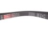Ремінь генератора BMW 3 (E46)/7 (E65/E66/E67)/X3 (E83) 2.0/4.4D 01-10 M47/M67 Gates 4PK895SF (фото 4)