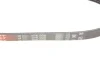 Ремінь генератора Renault Kangoo/Nissan Kubistar 1.2 16V 97- GATES Gates 4PK928 (фото 4)
