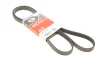 Ремінь генератора Suzuki SX4 2.0 06- Gates 5PK1665 (фото 3)