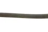 Ремінь генератора Suzuki SX4 2.0 06- Gates 5PK1665 (фото 4)