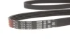 Ремінь генератора Hyundai Accent/Kia Rio 1.5 CRDi 05- GATES Gates 5PK1800 (фото 3)