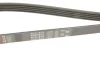 Ремінь генератора BMW 5 (E39)/Opel Omega B 2.5D/2.5TD 94-03 GATES Gates 5PK1815 (фото 5)