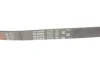 Ремінь генератора Ford Mondeo I-II/Fiesta IV/Focus II 1.8 TD/2.5 ST 93-00 GATES Gates 5PK885 (фото 5)