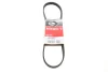 Ремінь генератора BMW 3/5 90-00 / Ford Focus 2.5 05-12 GATES Gates 5PK890 (фото 1)