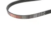 Ремінь генератора BMW 3/5 90-00 / Ford Focus 2.5 05-12 GATES Gates 5PK890 (фото 2)