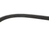 Ремінь генератора BMW 3/5 90-00 / Ford Focus 2.5 05-12 GATES Gates 5PK890 (фото 3)