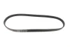 Ремінь генератора BMW 3/5 90-00 / Ford Focus 2.5 05-12 GATES Gates 5PK890 (фото 4)