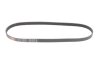 Фото 1 - ремінь генератора Toyota Camry 1.8-2.2 83-02/Rav4 2.0 94-00 Gates 5PK998 Ремінь генератора Toyota Camry 1.8-2.2 83-02/Rav4 2.0 94-00 Gates 5PK998 (фото 1)