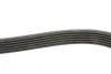 Ремінь генератора Volvo C70/S60/S70/S80/XC90 2.0-3.8 98-20 GATES Gates 6DPK1825 (фото 3)