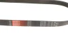 Ремінь генератора VW Caddy/Golf VIi-VIII/Passat B8/Tiguan/Touran 1.0-1.6 13- GATES Gates 6PK1003 (фото 2)