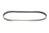 Ремінь генератора VW Caddy/Golf VIi-VIII/Passat B8/Tiguan/Touran 1.0-1.6 13- GATES Gates 6PK1003 (фото 4)