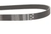 Ремінь генератора Citroen Berlingo/Peugeot 306/405/508/Partner I 1.8/2.0DH 10-18 GATES Gates 6PK1080EST (фото 2)