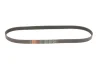 Ремінь генератора VW T5 1.9TDI/2.0 03- (PS) GATES Gates 6PK1113 (фото 1)