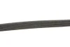 Ремінь генератора VW T5 1.9TDI/2.0 03- (PS) GATES Gates 6PK1113 (фото 2)