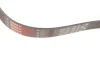 Ремінь генератора Citroen Jumper/Peugeot Boxer 3.0HDI 03- GATES Gates 6PK1163 (фото 2)
