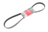 Ремінь генератора Citroen Jumper/Fiat Ducato 2.0/2.2HDi/JTD 02- GATES Gates 6PK1173 (фото 2)