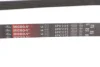 Ремінь генератора Citroen Jumper/Fiat Ducato 2.0/2.2HDi/JTD 02- GATES Gates 6PK1173 (фото 4)