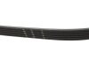 Ремінь генератора Opel Corsa E 1.3 CDTI 06- (6PK1362) Gates 6PK1360XS (фото 3)