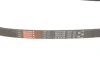 Ремінь генератора Citroen Berlingo/Fiat Scudo 1.9D (1868) GATES Gates 6PK1438 (фото 3)