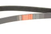 Ремінь генератора Peugeot 206/Partner/Citroen Berlingo/VW Polo 1.1-1.6 02- GATES Gates 6PK1453 (фото 5)