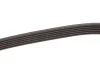 Ремінь генератора BMW 5 (E60)/7 (E65/E66/E67)/X5 (E53) 4.4/4.8 01-09 N62 GATES Gates 6PK1548 (фото 3)