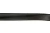 Ремінь генератора Citroen Berlingo 1.6 00-08/ Nemo 1.4i 08- GATES Gates 6PK1560 (фото 4)