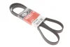 Ремінь генератора Opel Astra 1.7CDTi 03-/Renault Megane/Laguna 1.9-3.0 97-03 GATES Gates 6PK1605 (фото 1)