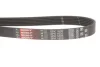 Ремінь генератора Opel Astra 1.7CDTi 03-/Renault Megane/Laguna 1.9-3.0 97-03 GATES Gates 6PK1605 (фото 2)