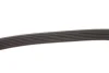 Ремінь генератора Opel Astra 1.7CDTi 03-/Renault Megane/Laguna 1.9-3.0 97-03 GATES Gates 6PK1605 (фото 3)