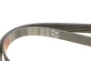 Ремінь генератора Opel Corsa D 1.7CDTI 06-11/Ford Fiesta 1.8DI 00-03 GATES Gates 6PK1613 (фото 4)