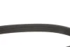 Ремінь генератора Chery Tiggo 1.6-2.0 06- Gates 6PK1628XS (фото 2)