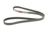 Ремінь генератора Opel Astra J/K/Insignia A/B/Ford Escort/Fiesta 1.4/1.6/1.6CDTI 90- GATES Gates 6PK1633 (фото 2)